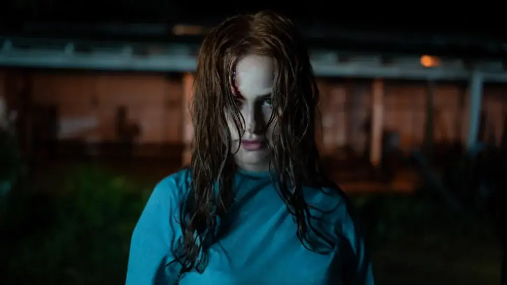 Os Estranhos: O Capítulo 2 – assistir online em HD