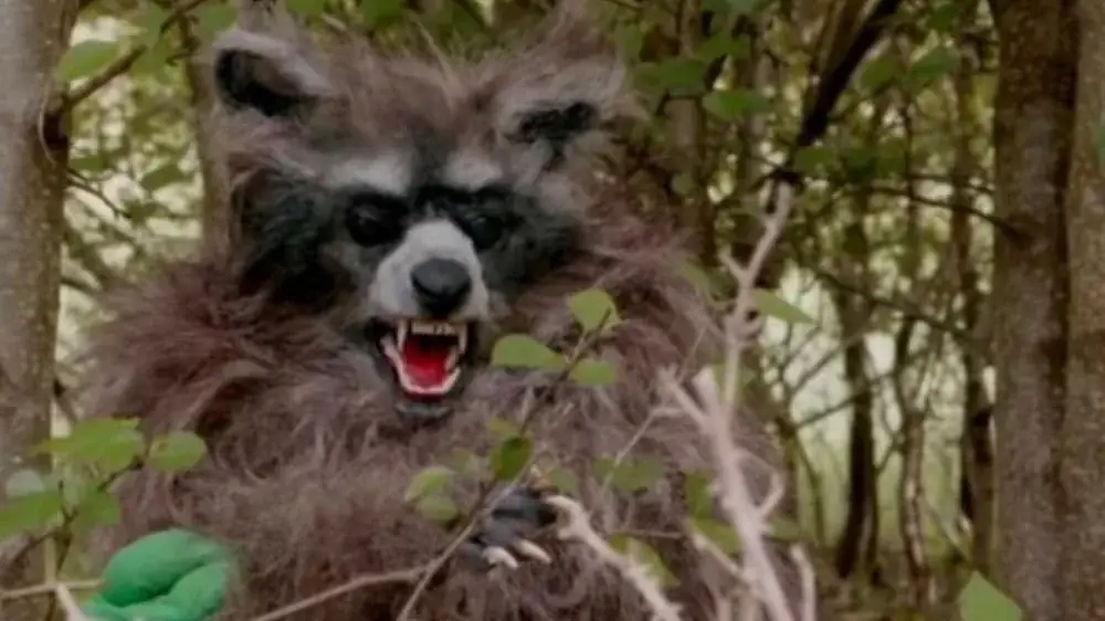 Crackcoon – assistir online em HD