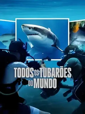 Todos os Tubarões do Mundo – assistir online em HD