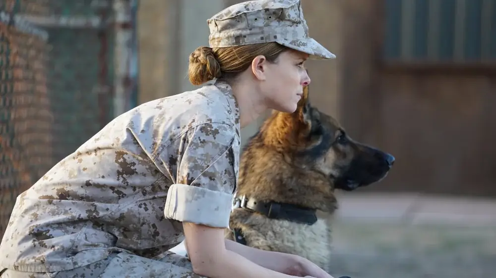 Megan Leavey – assistir online em HD