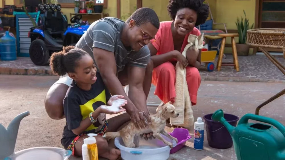 O Roubo do Cão – assistir online em HD
