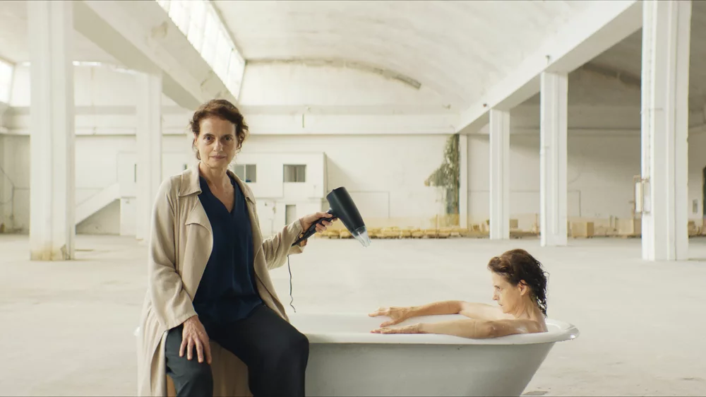 Sonhar com Leões – assistir online em HD